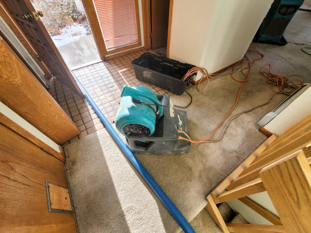 Best Emergency water damage restoration  in Eagle, NE